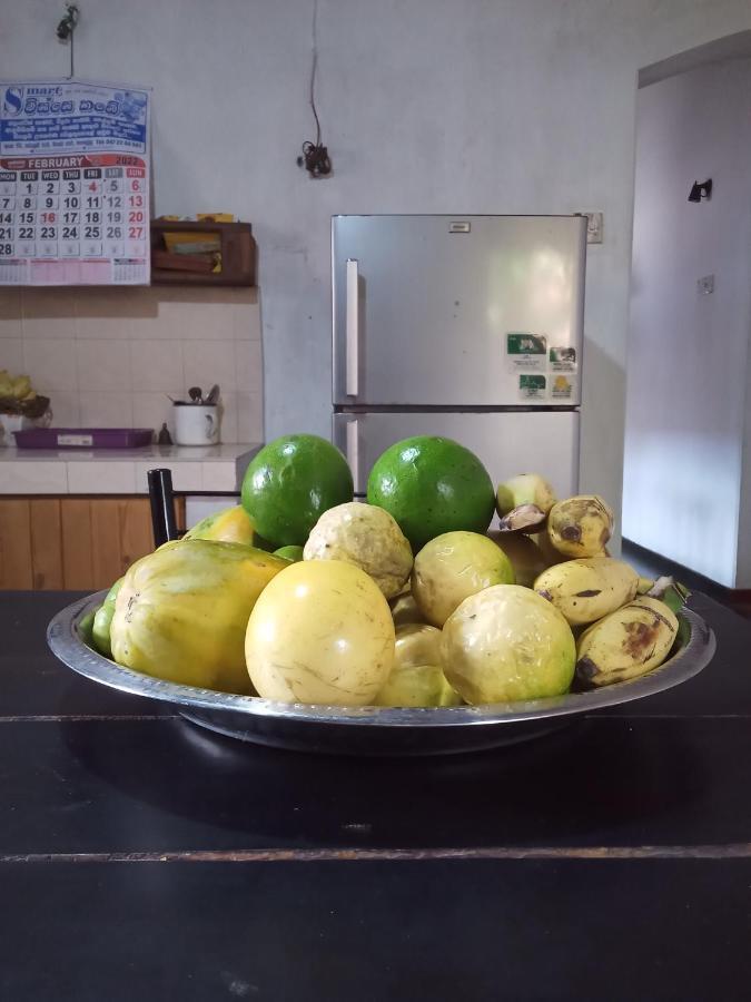 Dilip'S House Apartment Tangalle Ngoại thất bức ảnh